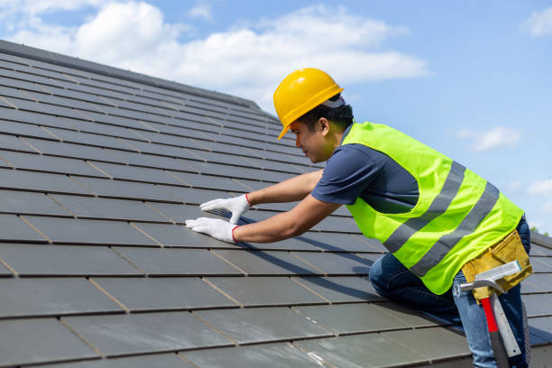 Roof Gutter Cleaning in Peralta, NM