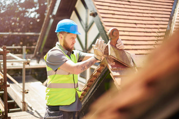Best Roof Gutter Cleaning  in Peralta, NM